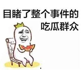 娱乐吃瓜酱偷外卖的小说,一场美食与八卦的奇妙邂逅
