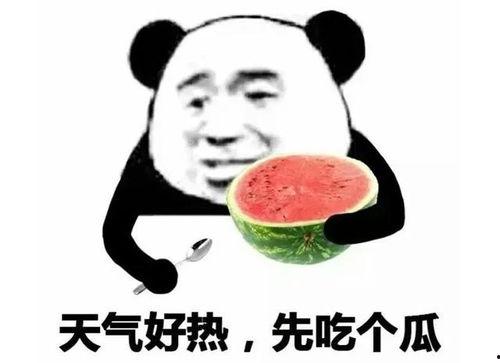 娱乐吃瓜酱输在了哪里,揭秘输在何处