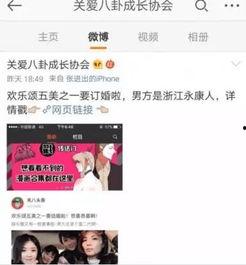 吃瓜小说娱乐圈番茄小说,番茄小说中的瓜田盛宴