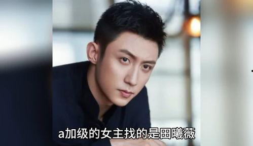 吃瓜娱乐圈八卦小说,瓜田里的秘密与真相